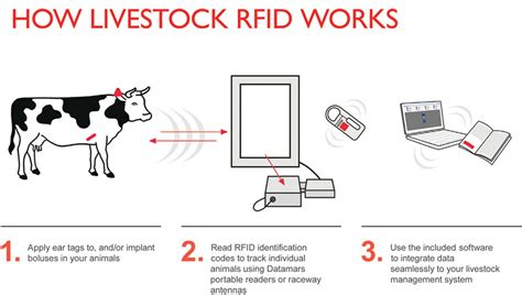 rfid tags meaning|rfid tags for animals.